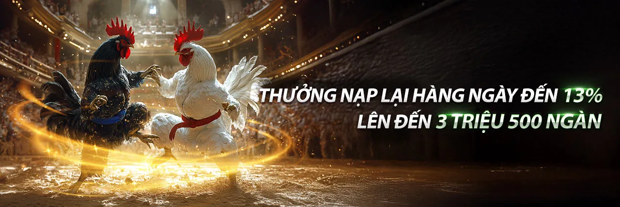 Gà Chọi Dũng Mãnh Tại Đấu Trường 6789eu nhà cái